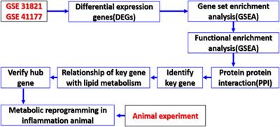 The Four Key Genes Participated in and Maintained Atrial Fibrillation Process via Reprogramming Lipid Metabolism in AF Patients